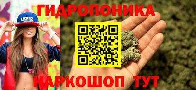a pvp Кунгур