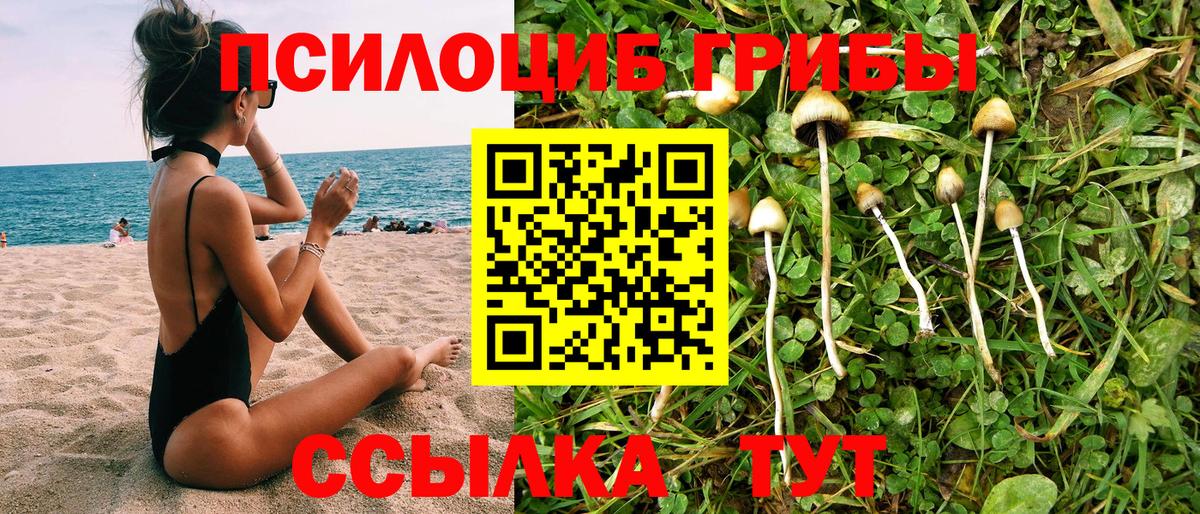 Псилоцибиновые грибы Psilocybe  Псилоцибиновые грибы Psilocybine cubensis  Каменск-Уральский  Вход с VPN 